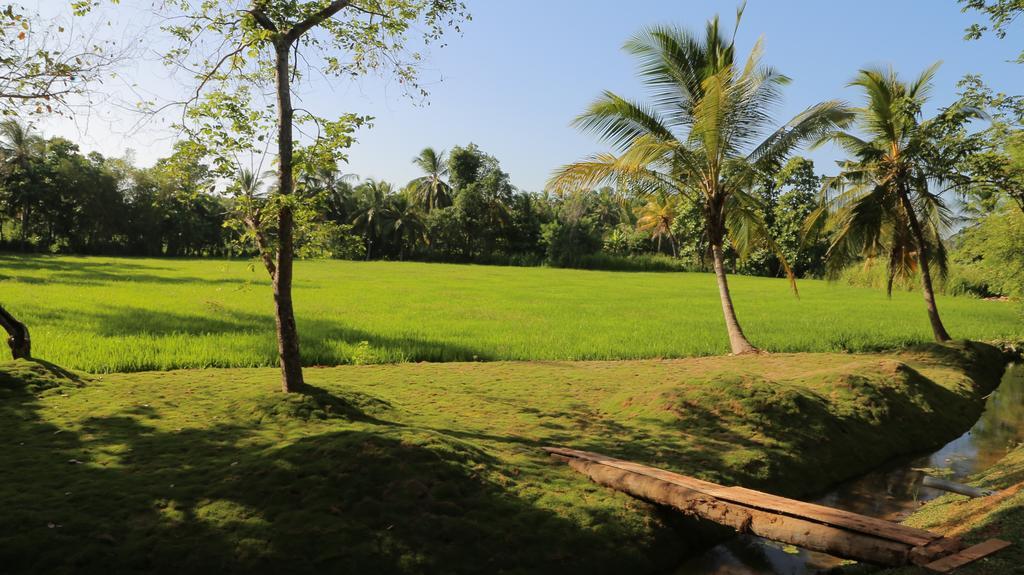 Miracle Resorts & Villas Polonnaruwa Luaran gambar