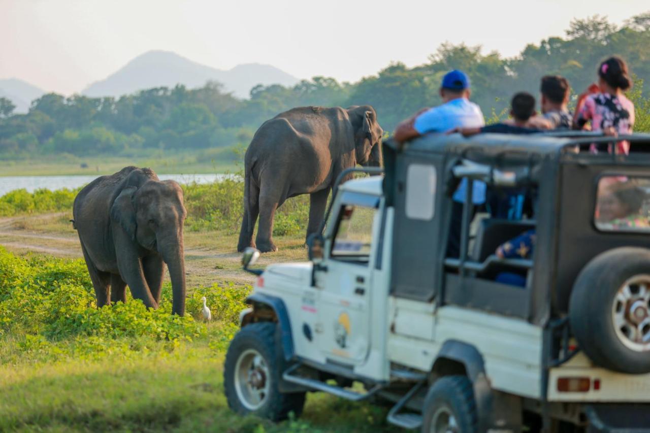 Miracle Resorts & Villas Polonnaruwa Luaran gambar